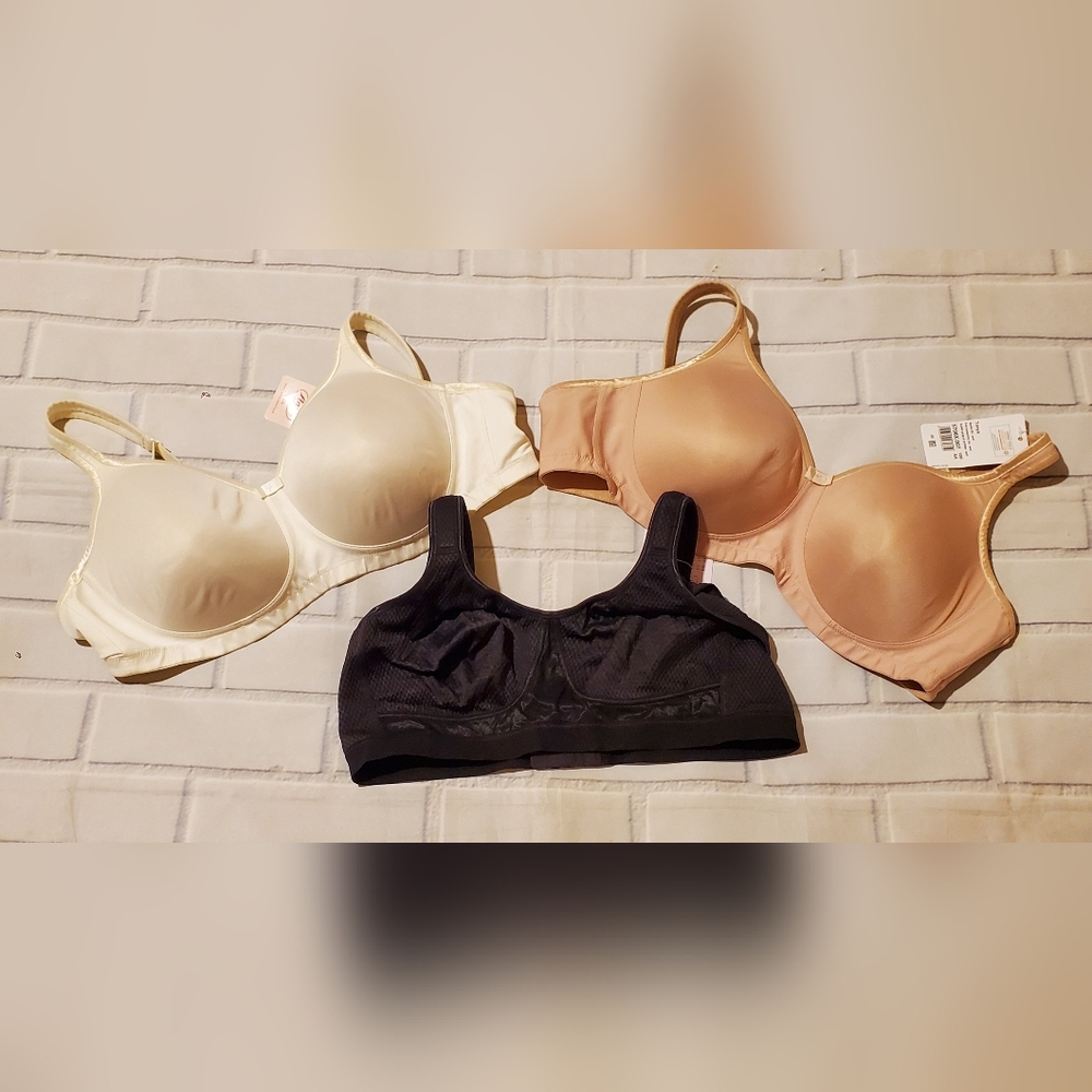 Womens Bras